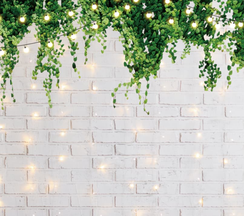 White Wall