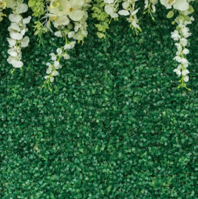 Green Garden